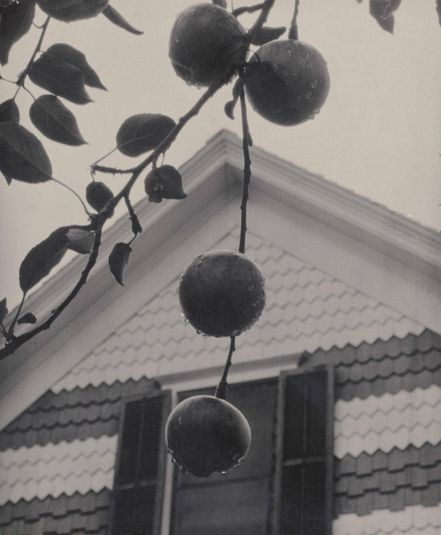 Gable and Apples