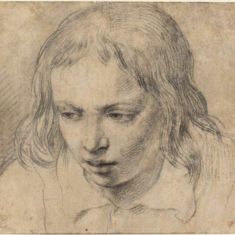 Head of a Young Man [recto]