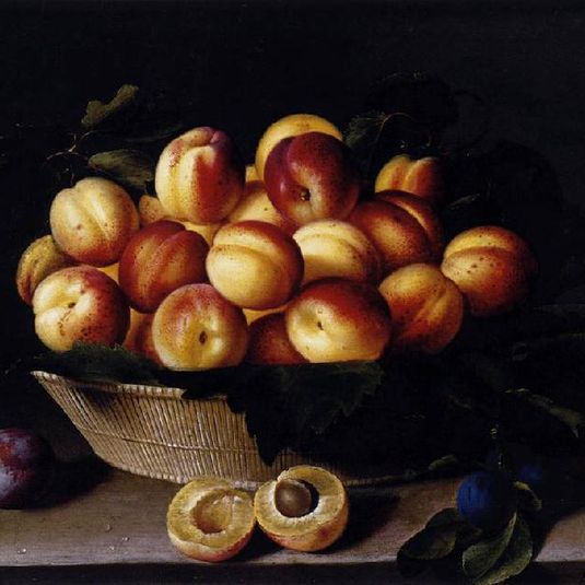Basket of Apricots