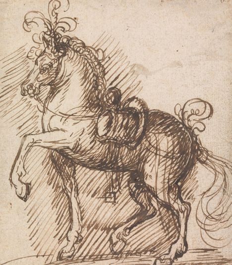 A Plumed Saddle-Horse