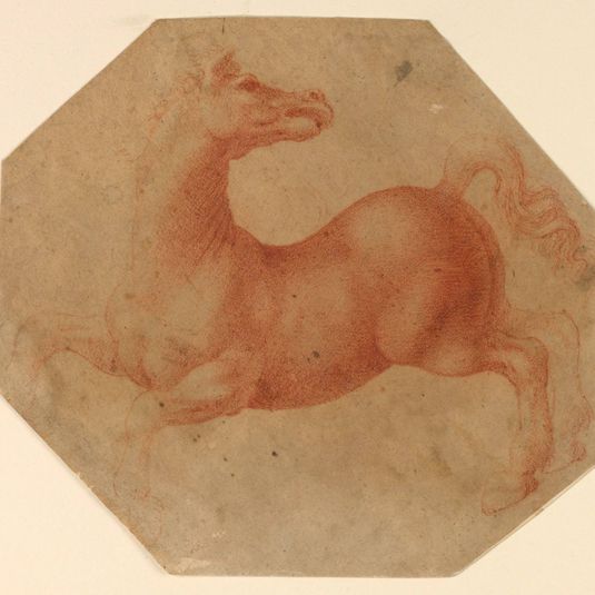 Study of a Rearing Horse after Leonardo da Vinci