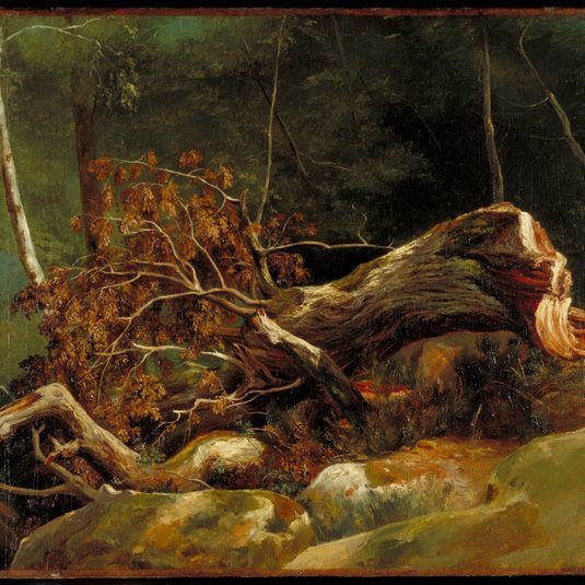 The Fallen Branch, Fontainebleau