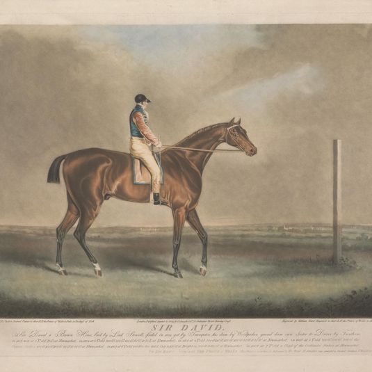 Sir David. Sir David a Brown Horse, bred by Lord Stowell, foaled in 1801 got by Trumpeter, his dam by Woodpecker, grand dam own Sister to Driver by Trentham,...