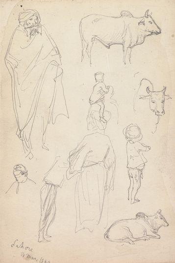 Sketches of Standing Figures and Bulls, Lahore, 18 March 1860