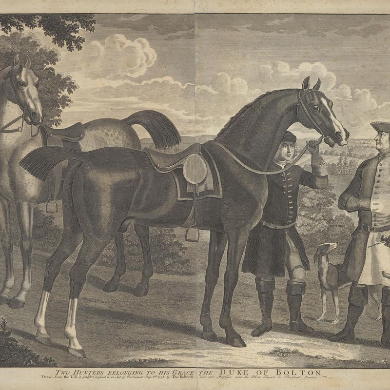 Two Hunters Belonging to His Grace the Duke of Bolton