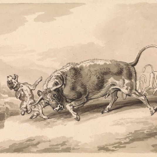 Bull Attacking Mastiff