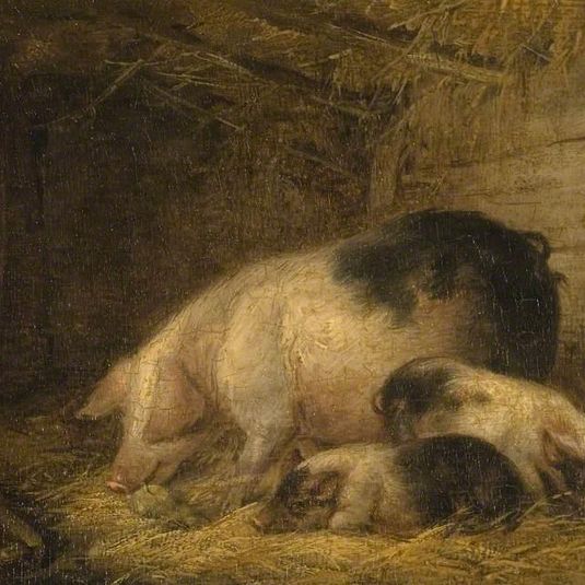 Sow and Piglets in a Sty