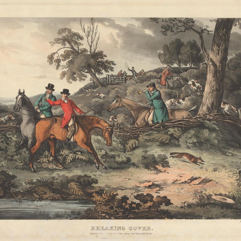 Set of four- Fox-hunting. Breaking Cover