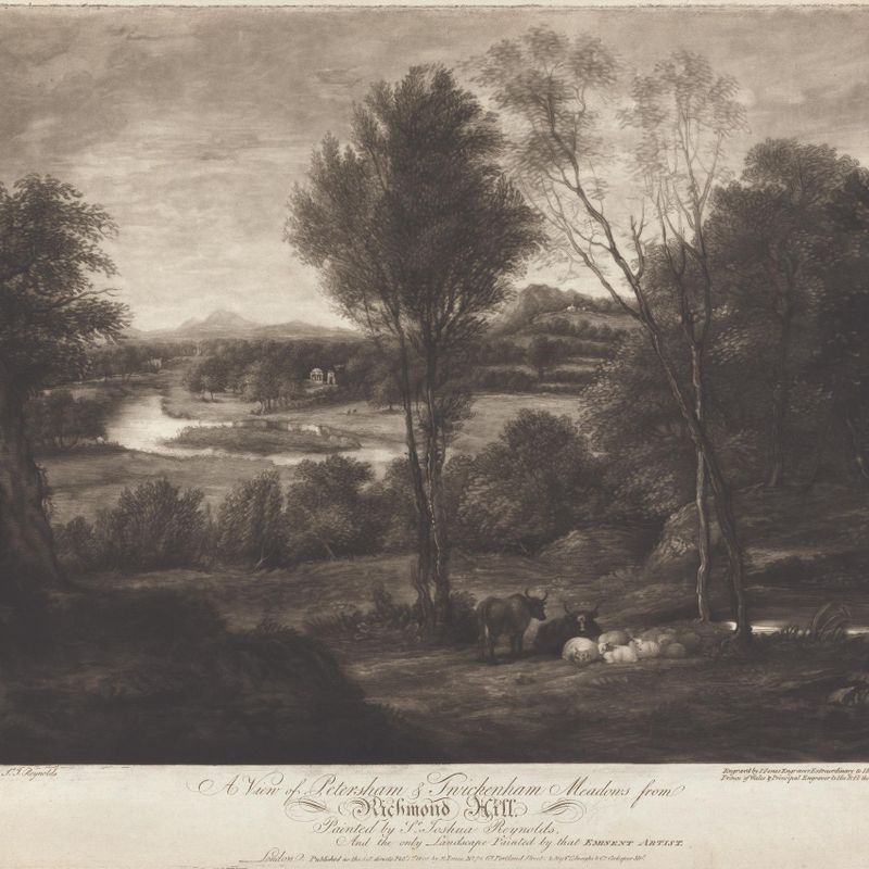 A View of Petersham & Twickenham Meadows from Richmond Hill