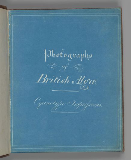 Photographs of British Algae: Cyanotype Impressions