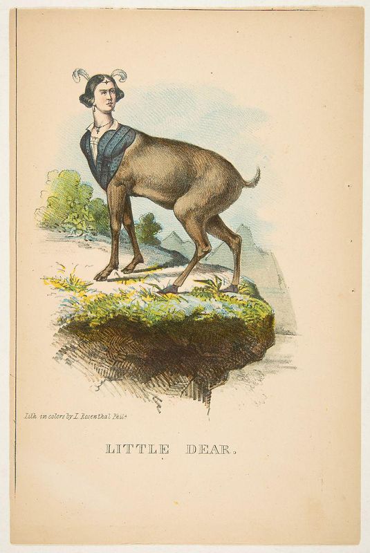 Little Dear, from The Comic Natural History of the Human Race