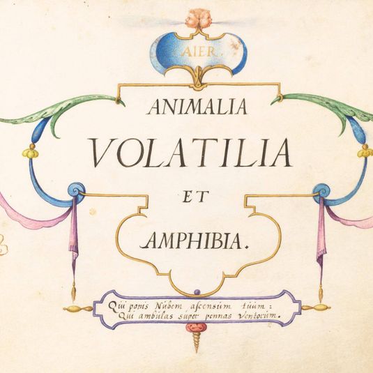 Animalia Volatilia et Amphibia (Aier):  Title Page