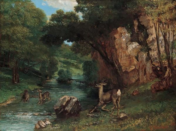 Roe Deer at a Stream