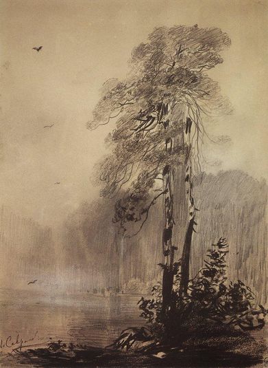 Pines on the shores of Lake