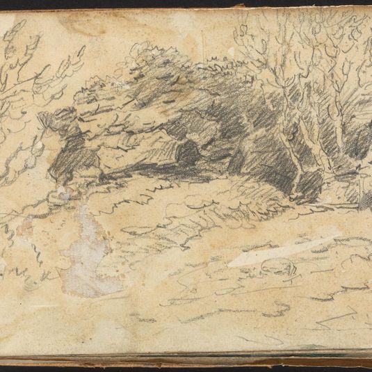 Album of Landscape and Figure Studies: Sketch of Trees and Rocks
