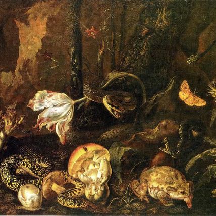 Still Life with Snakes, Frogs, Mushrooms, Flowers and Butterflies