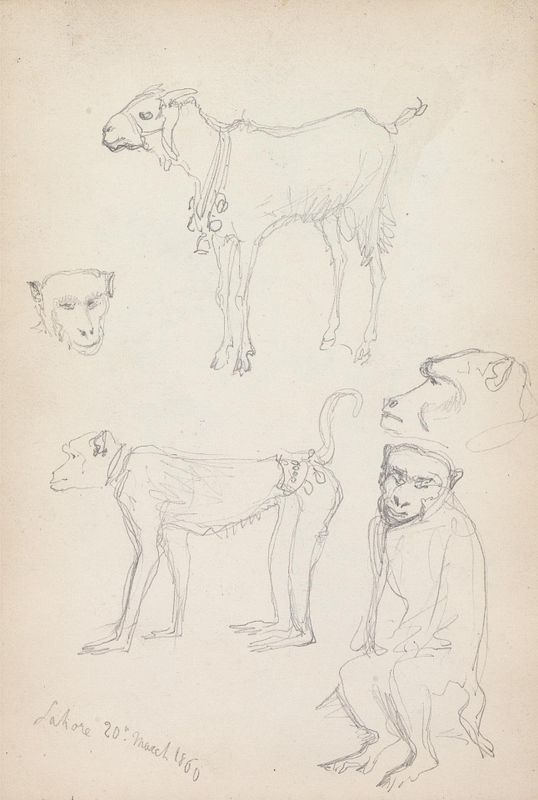 Monkeys and a Goat, Lahore, 20 March 1860