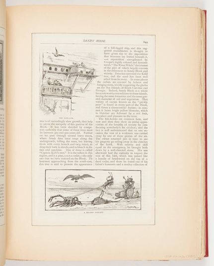 The Dove-Cote, A Sea-Side Turn-Out, Illustrations for Scribner's Monthly (XVIII, No. 5, September 1879, p. 649)