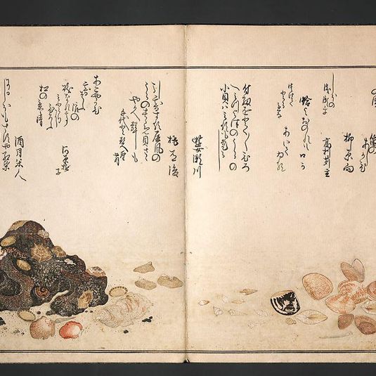 Gifts of the Ebb Tide (The Shell Book) (Shiohi no tsuto)