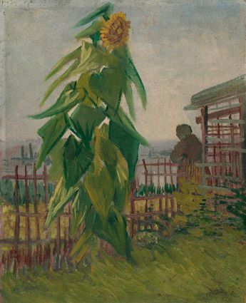 Vincent van Gogh - Allotment with Sunflower Smartify Editions