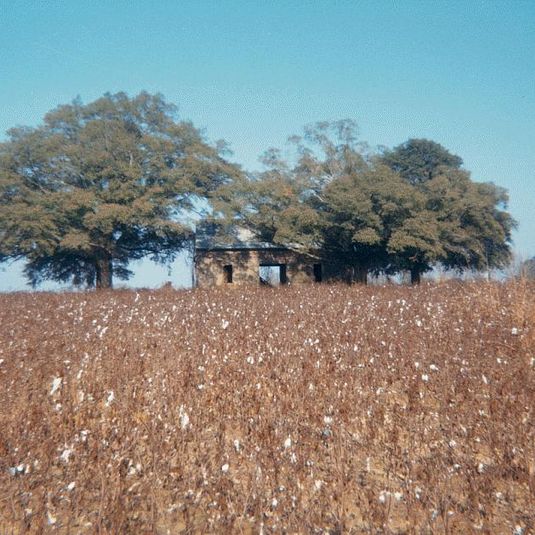 Abandoned House in Field (View I), Near Montgomery, Alabama