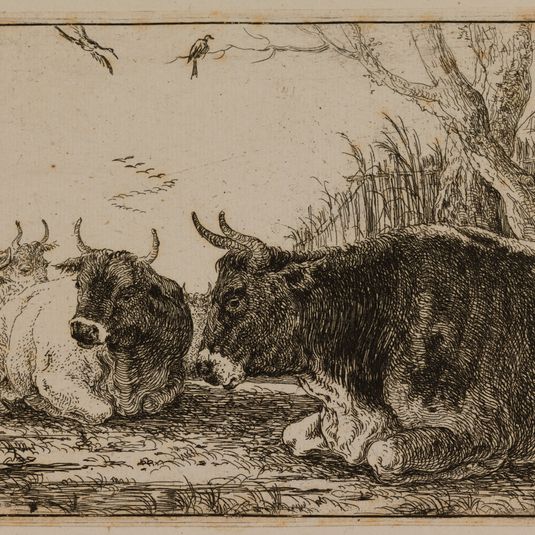 Cinq vaches dans un pâturage (Bartsch 10)