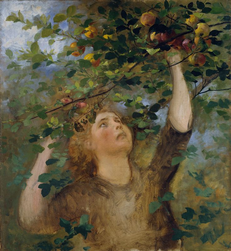 Girl Picking Apples