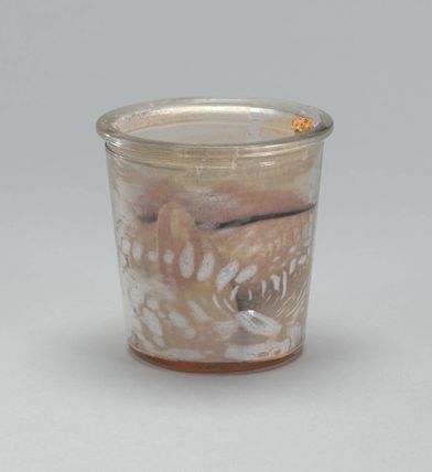 Mouth in a Preserve Jar