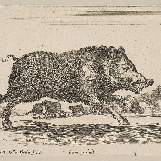 Plate 19: wild boar, from 'Various animals' (Diversi animali)