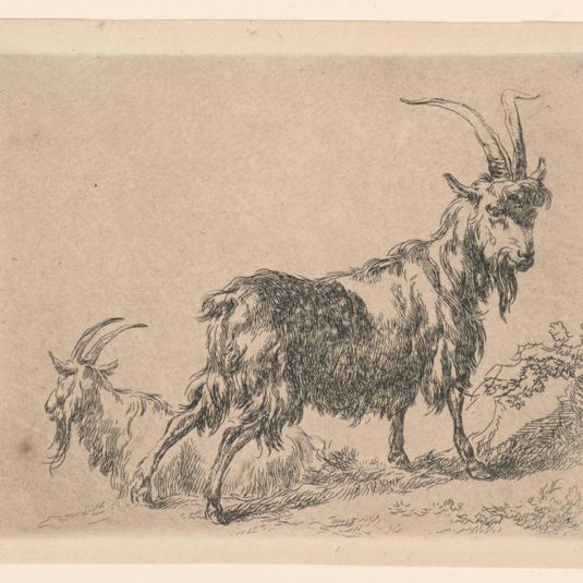 Two Goats, from Berchem's "Animalia" (Animals) [ Animalia ad vivum delineata et aqua forti aeri impressa Studio et Arte Nicolai Berchem]