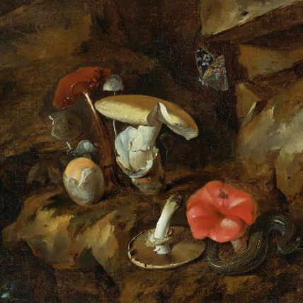 A Forest Floor Still Life with Mushrooms, a Snake and a Butterfly