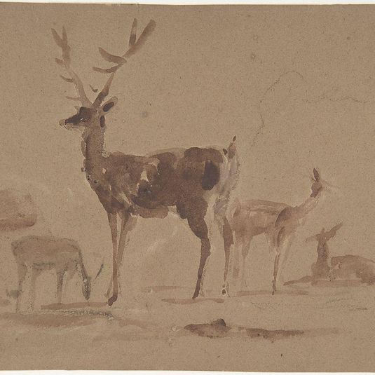 Stag and Its Young