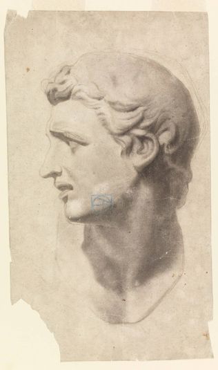 Study of a Classical Male Head (from a plaster cast)