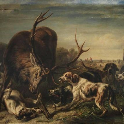 Stag Surrounded by Dogs