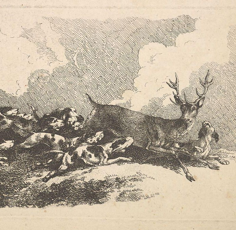 Hounds Hunting a Stag