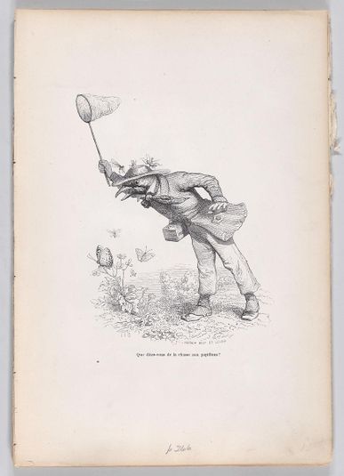 "What do you say about the butterfly hunt?" from Scenes from the Private and Public Life of Animals