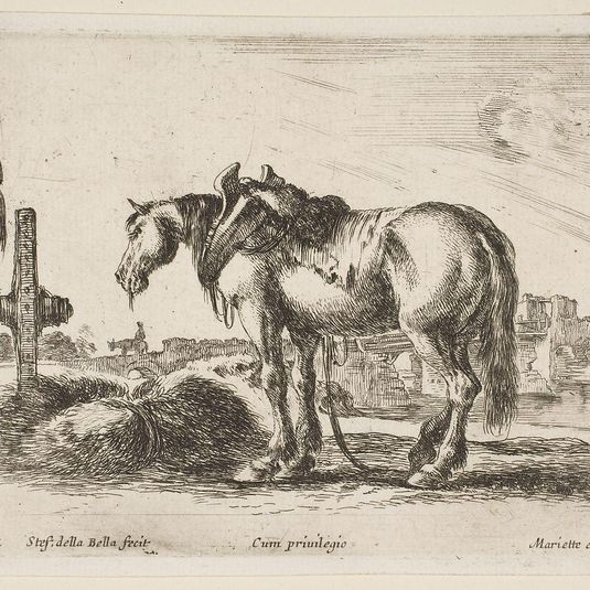 Plate 22: cart horse, from 'Various animals' (Diversi animali)