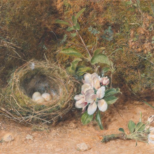 Bird's Nest with Sprays of Apple Blossoms