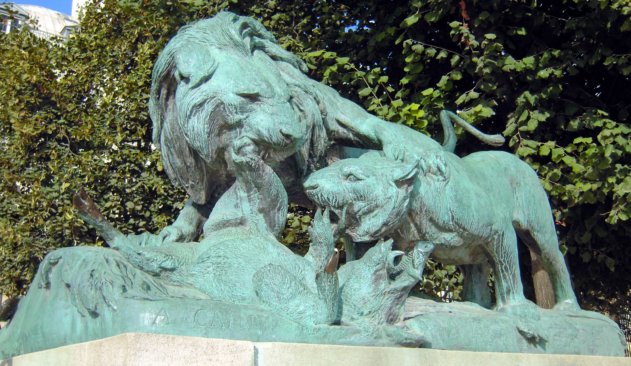 Lion and Lioness Fighting over a Boar