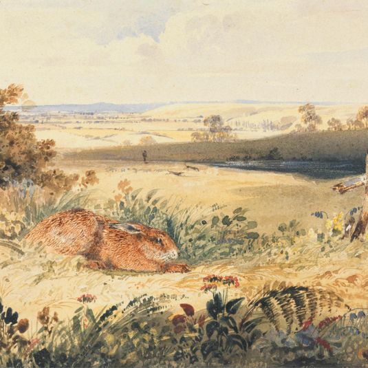 Hare in a Landscape