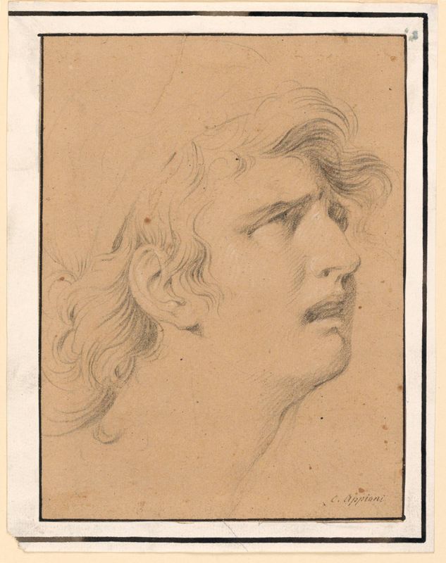 The Head of a Despairing Young Woman