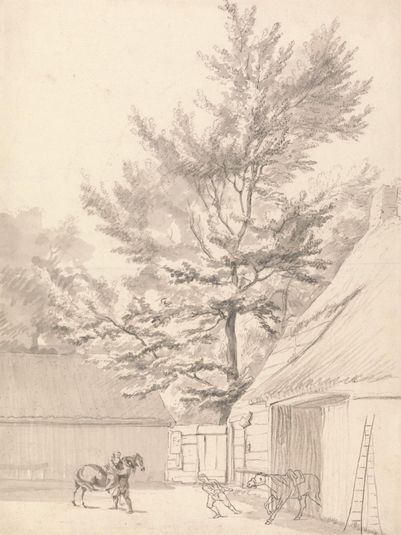 A Stable Yard with Tall Tree