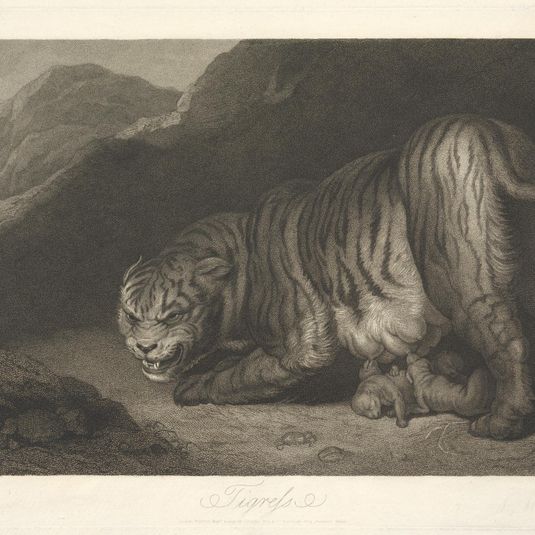 Animals [a pair]: 2. Tigress
