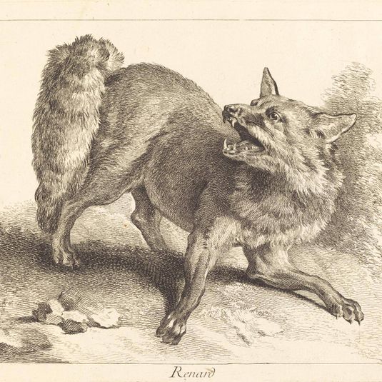 Renard (Fox)