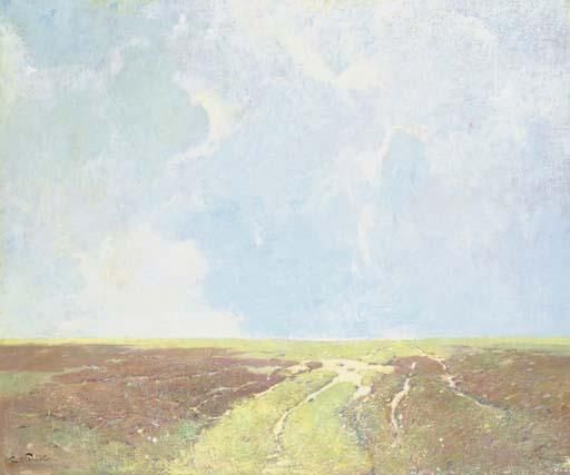 Marsh Landscape