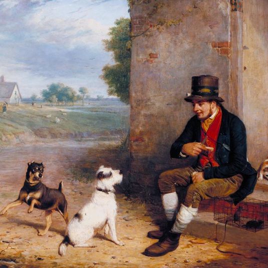 The Rat-Catcher and his Dogs