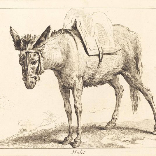 Mulet (Mule or Saddled Donkey)