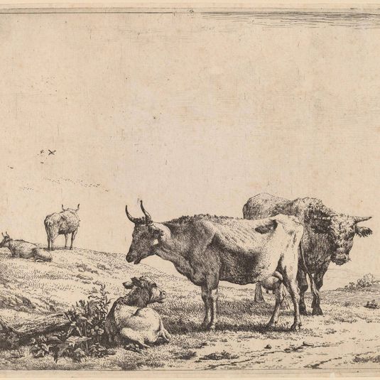 Cow, Bull and Calf