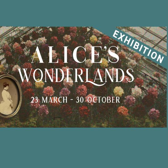Tour: Alice's Wonderlands, 1h 