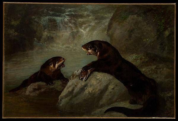 Otters by the Water’s Edge